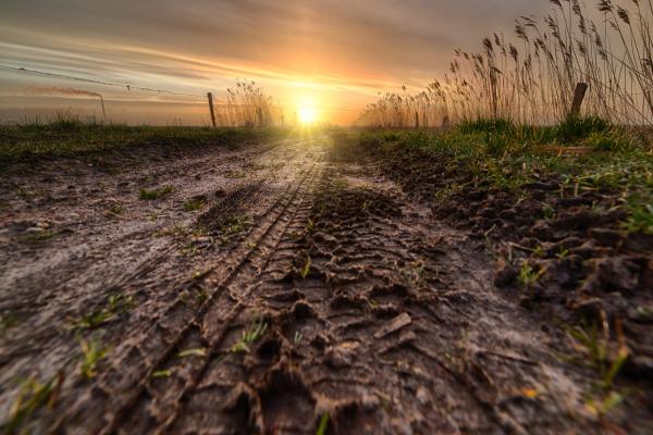 Muddy field