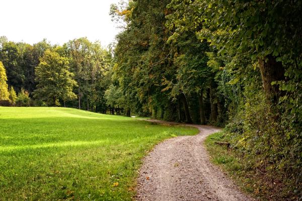 Country lane