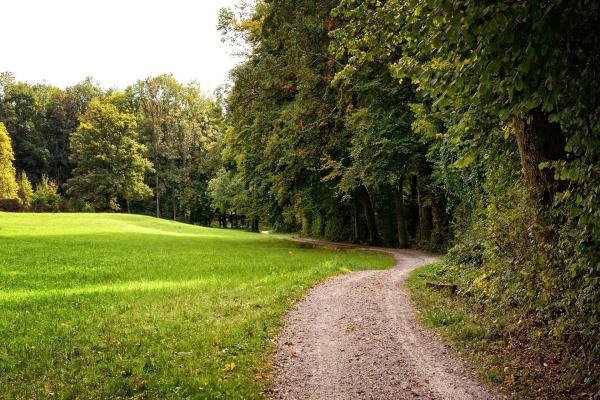 Country lane